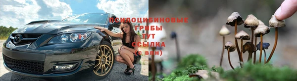 apvp Алзамай