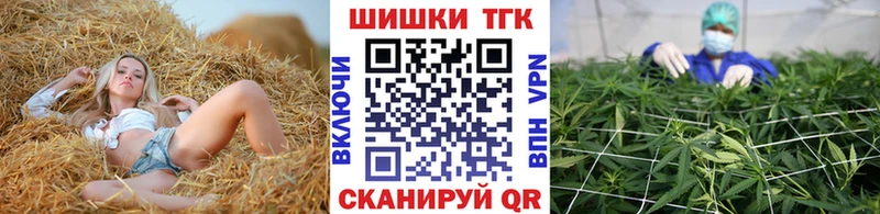 Конопля индика Пущино